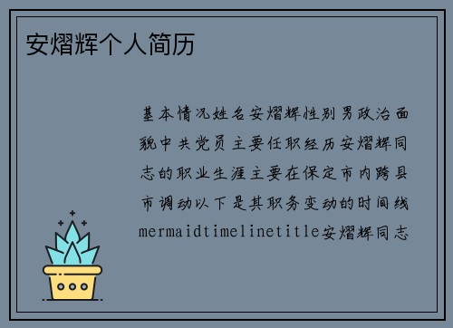 安熠辉个人简历